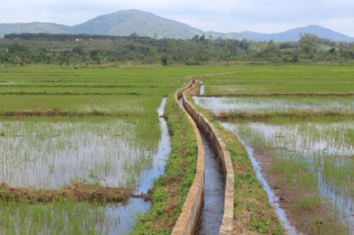 khi dong ruong kien co hoa kenh muong 2